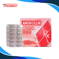 Amoxicillin (Moxylor) 250mg/cap